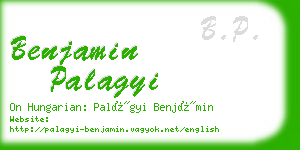 benjamin palagyi business card